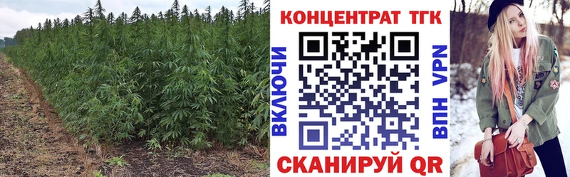 Купить закладки Гулькевичи ТГК THC oil